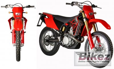 2009 GAS GAS Halley 450 photo